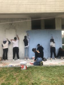 Immagine fasi murales