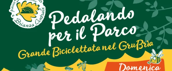 immagine locandina evento
