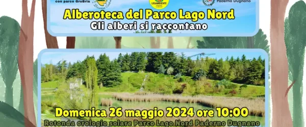 Immagine evento